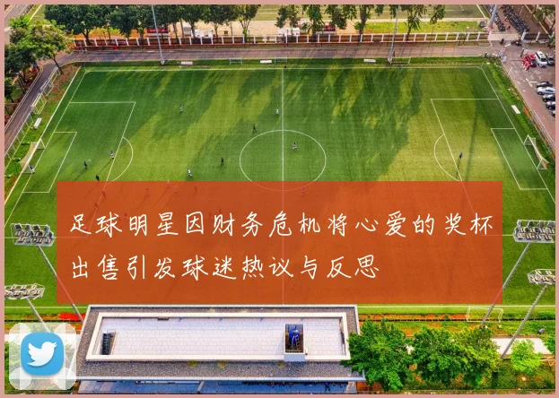 足球明星因财务危机将心爱的奖杯出售引发球迷热议与反思