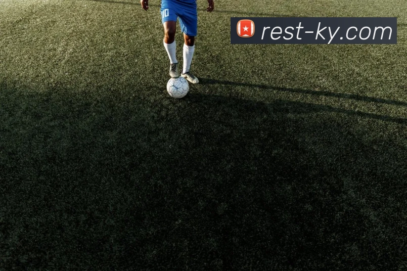 App Interface Preview